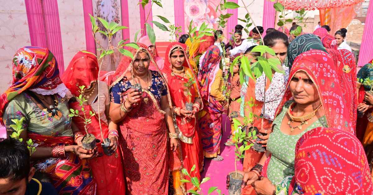 सैकड़ों देशी पेड़, जैसे कि खजरी, ग्रामीणों द्वारा लगाए गए थे।