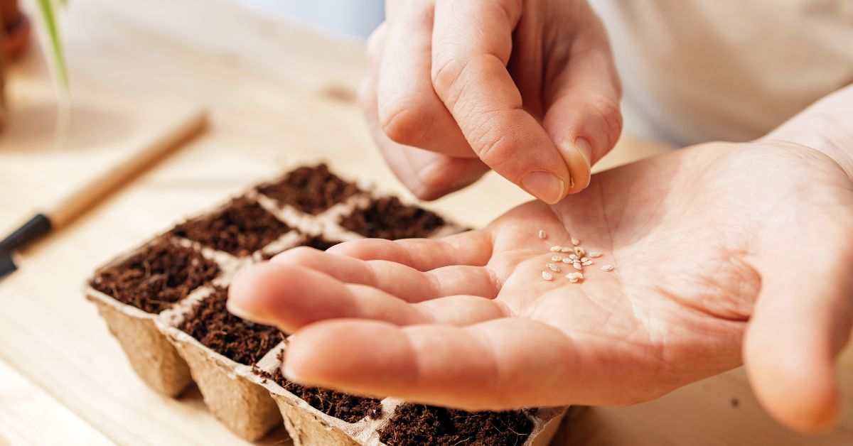 Seed banks are like time capsules — quiet guardians preserving nature’s diversity for future generations