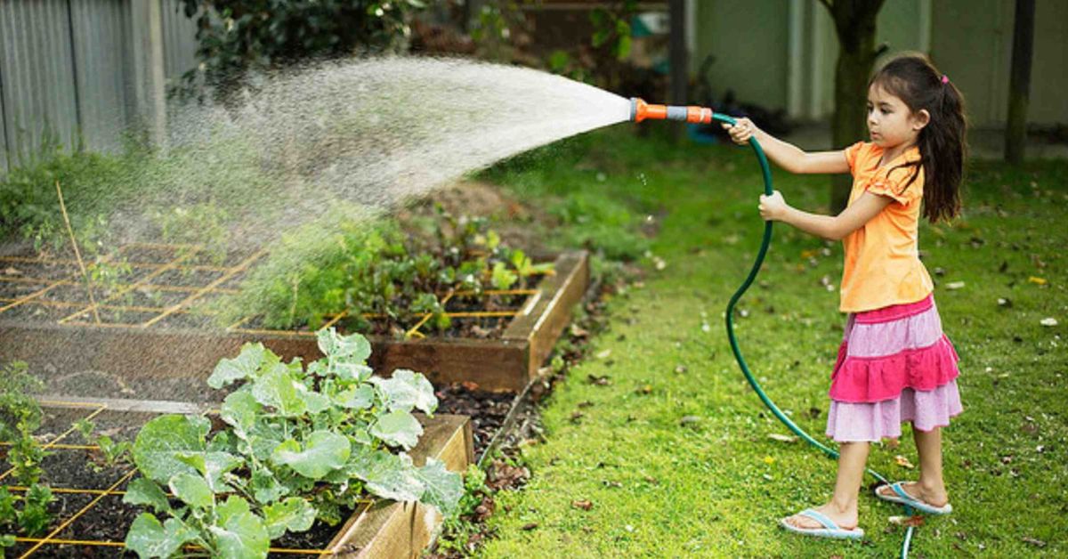 Utilise your kitchen scraps to do some fun gardening activities and bond with your kids