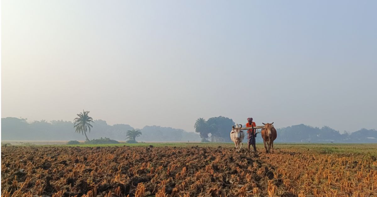 In regions like Bihar and Jharkhand, small and marginal farmers rely almost entirely on monsoon 