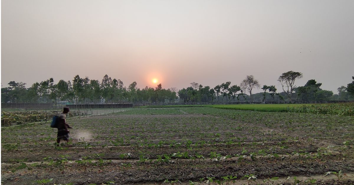 For these farmers, a late monsoon isn’t just a shift on the calendar; it means deciding whether to wait for more rain,