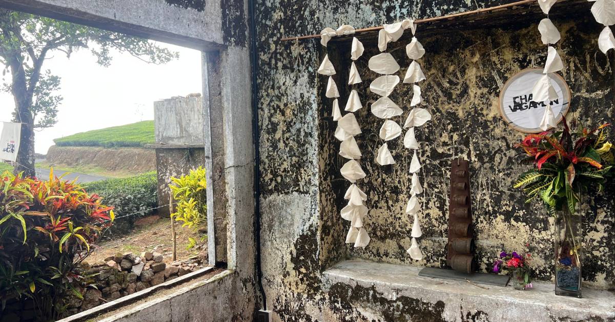 Nestled in Kerala's misty hills, Chai Vagamon invites you to slow down, connect, and belong.