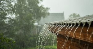 That Earthy Rain Smell We All Love? Here’s What’s Really Behind It