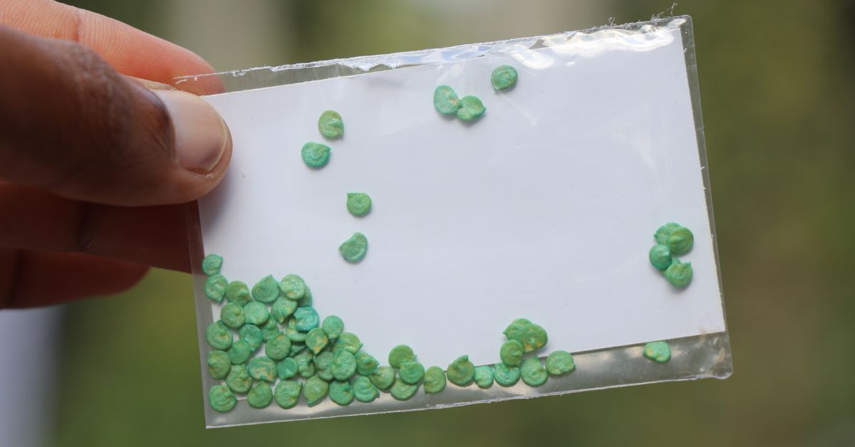 How Balcony Gardeners & Farmers Are Building Seed Banks To Keep India’s Biodiversity Alive