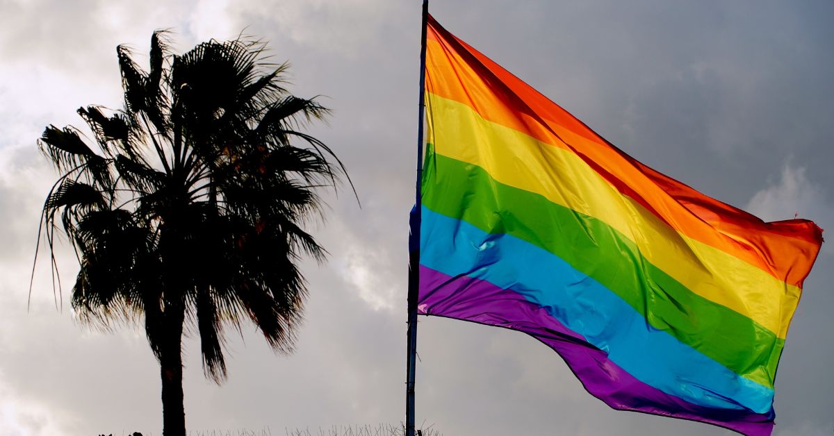 The rainbow flag is a colourful and powerful symbol of the LGBTQ+ community. First created in the late 1970s by artist and activist Gilbert Baker, 
