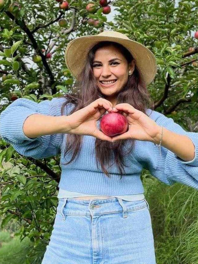 Himachal Duo Helps Apple Farmers with Sustainable Practices