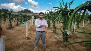 He Left Engineering to Grow Dragon Fruit & Today, His Farm Earns Rs 20 Lakh/Year