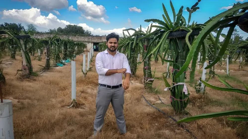 He Left Engineering to Grow Dragon Fruit & Today, His Farm Earns Rs 20 Lakh/Year