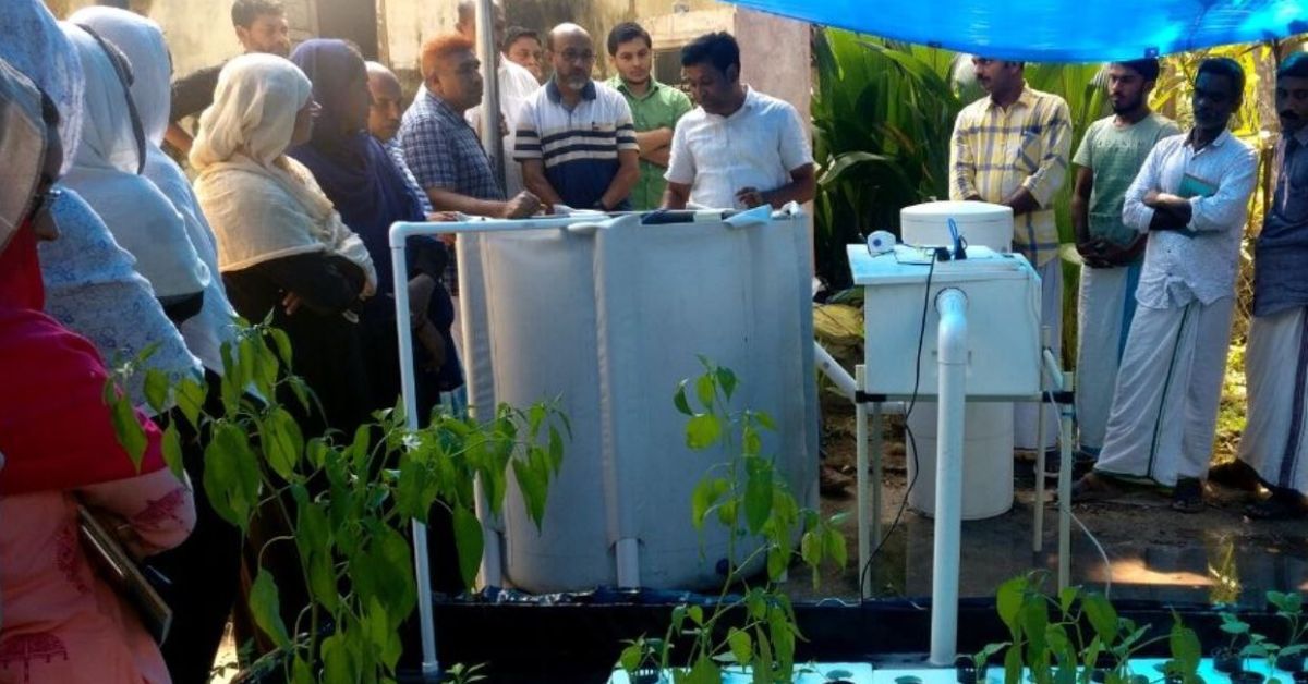 Aquaponics systems reduce water consumption by up to 80 percent compared to traditional farming. 