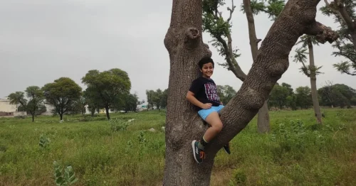 For people living nearby, Dol Ka Badh is more than a forest — it’s where kids grow up climbing trees, and everyday life meets nature without effort.