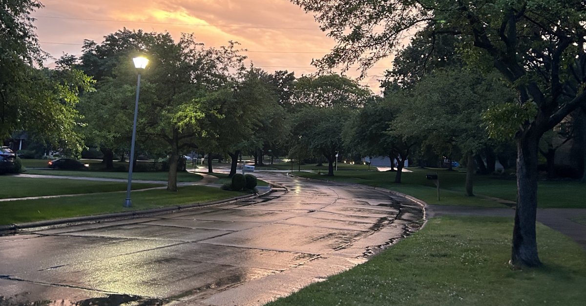 When rain hits dry ground, tiny air bubbles burst, releasing geosmin and plant oils into the air — creating the earthy aroma of petrichor.