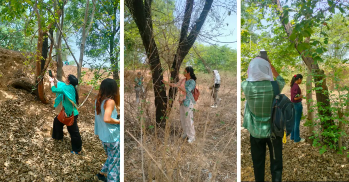 Across 15–16 May 2025, volunteers documented 446 trees in the area under greatest threat.