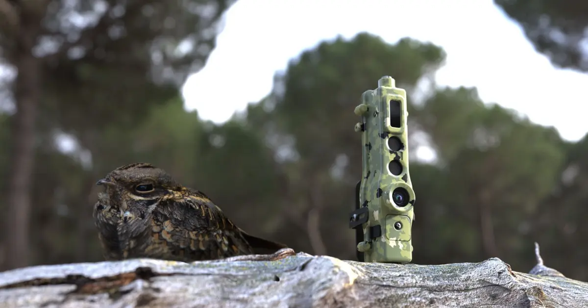 TrailGuard is an AI-powered camera system designed to detect poachers in real time and alert forest authorities before a threat escalates.