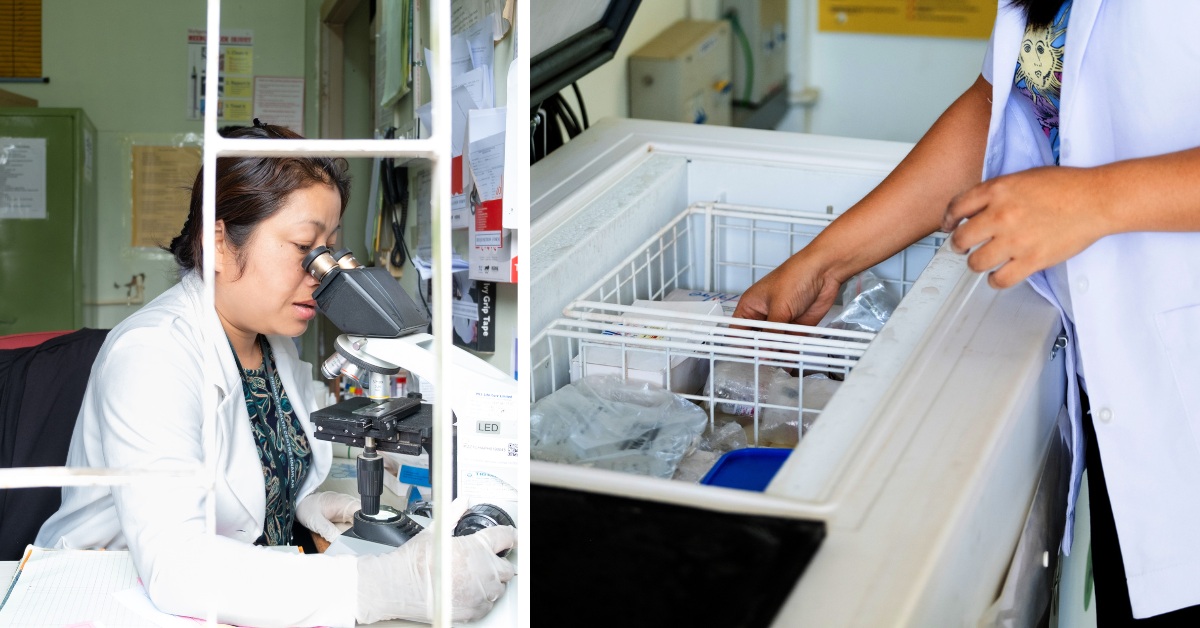 Reliable solar energy ensures life-saving vaccines stay potent, helping frontline health workers protect the youngest lives in Mizoram’s remotest corners.