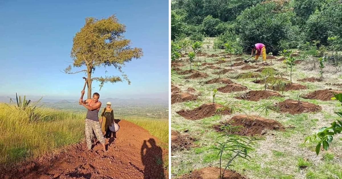 From carrying young trees to planting hundreds of saplings, the family is slowly bringing green cover back to the land.