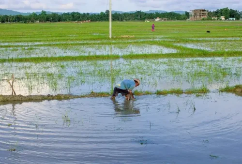 Cauvery River welcomed in Tamil Nadu
