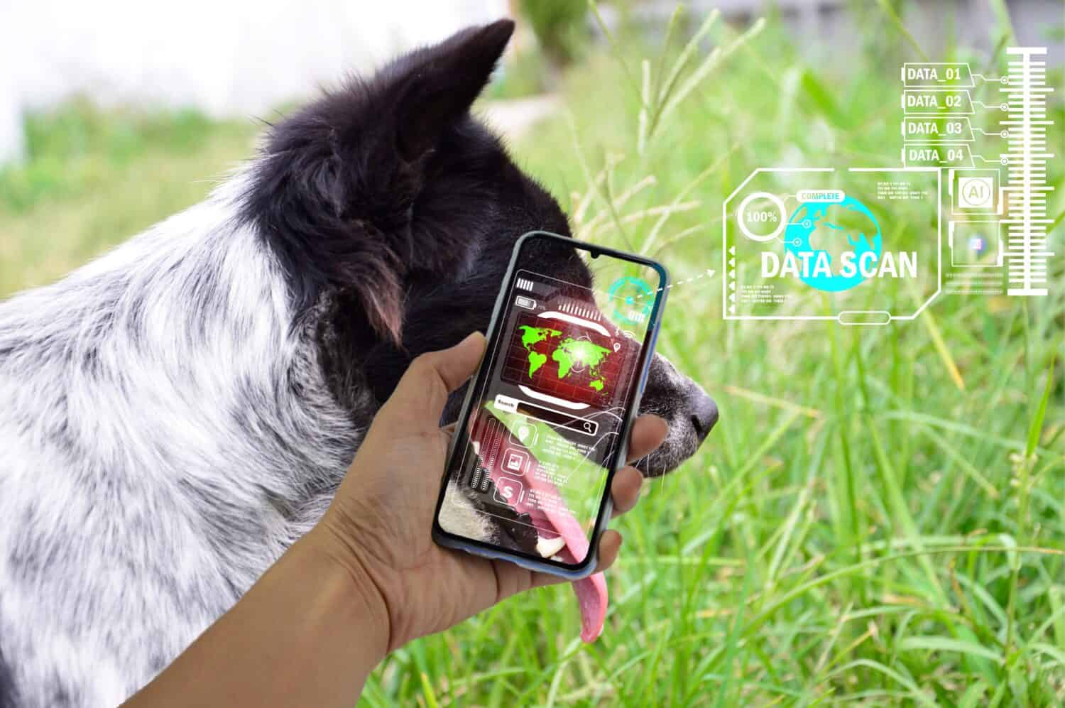 AI-powered apps are now helping conservationists predict animal movement patterns and prevent human-wildlife conflict before it begins. 