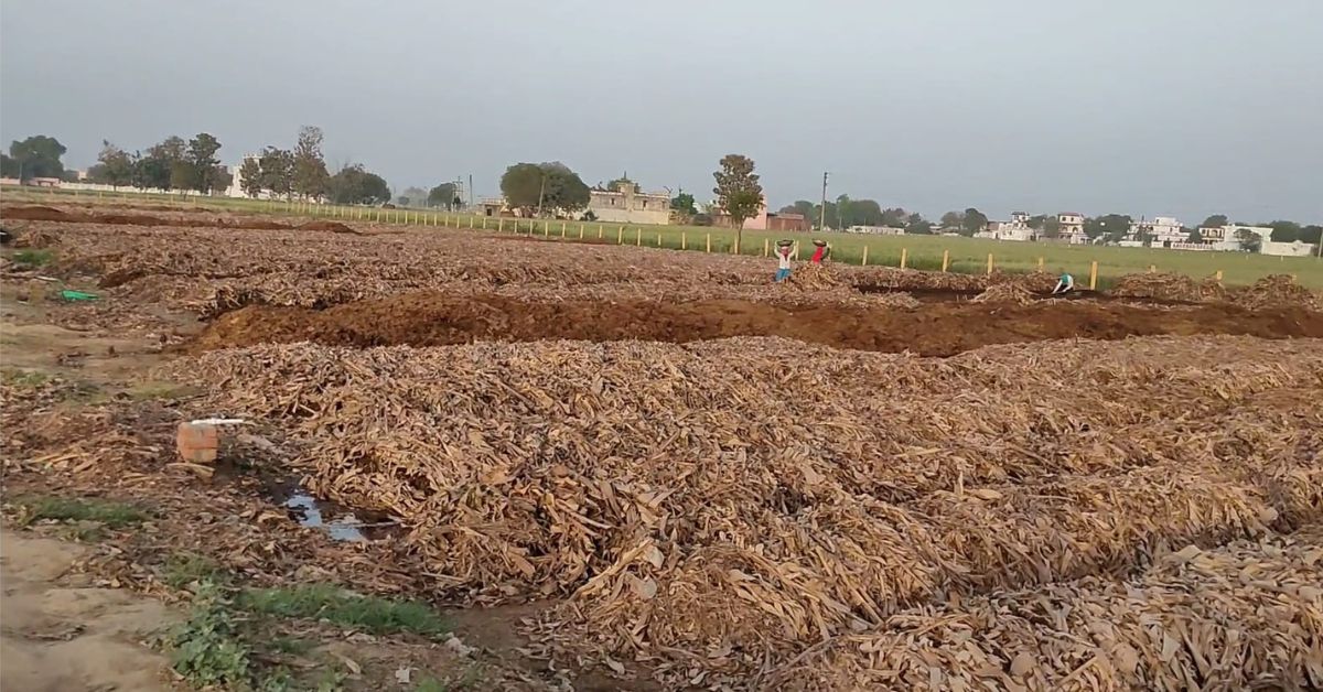 Raj uses innovative methods like banana leaves for mulching to boost the composting process.