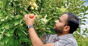 Ex-Engineer-Turned-Farmer Grows Apples & Exotic Jamuns in Maharashtra’s 44-Degree Heat