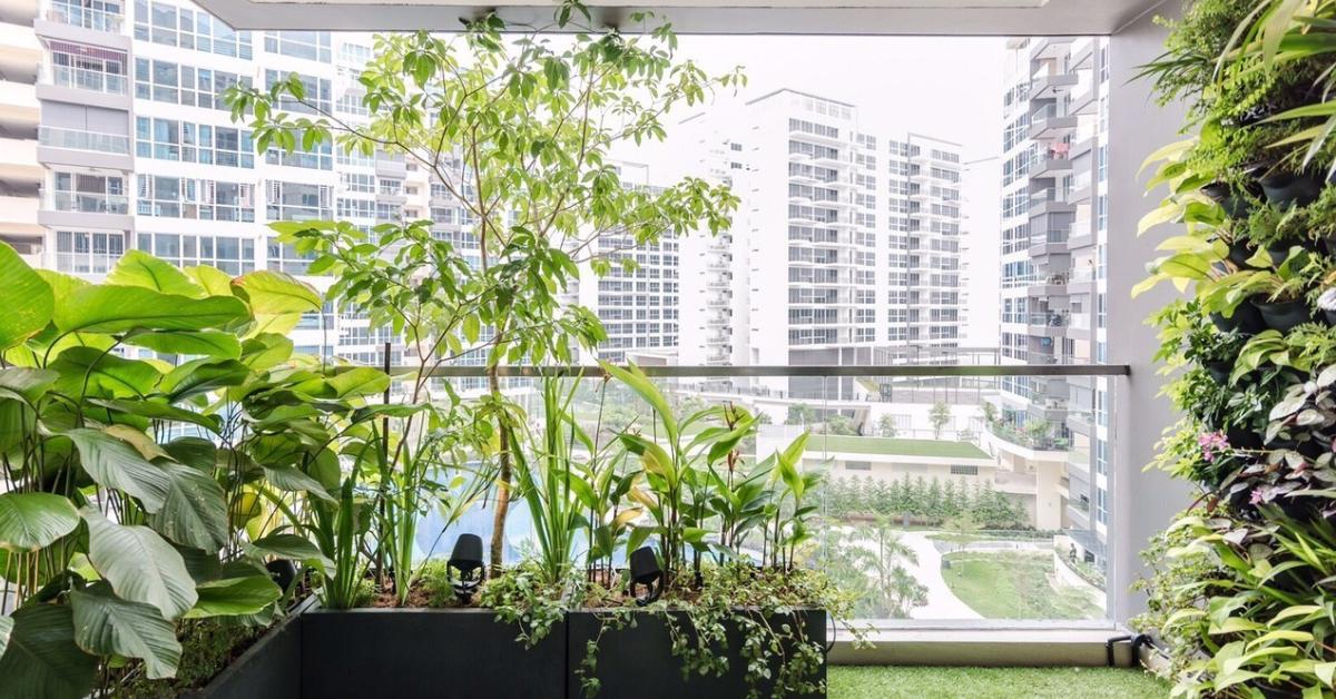 Many gardeners make the mistake of overwatering the plants during the monsoon season; Picture source: Mashrita Nature Cloud