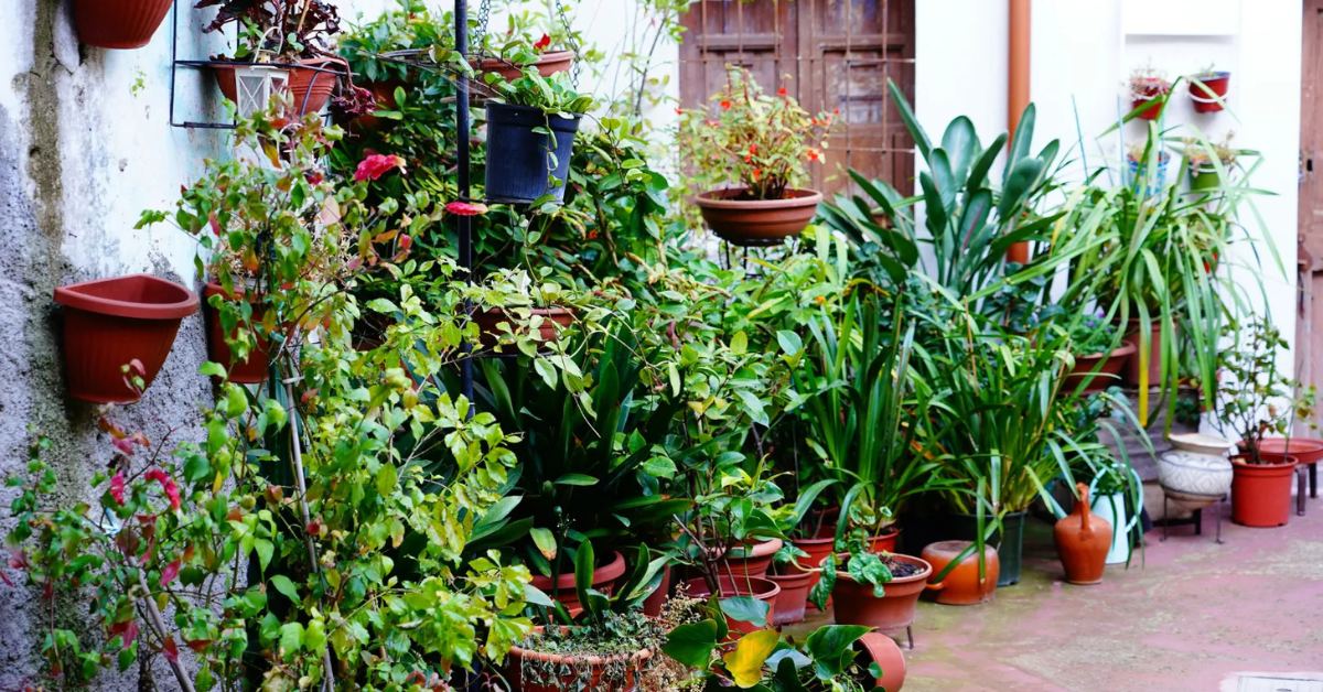 During the monsoon, plants grow rapidly, but so does the accumulation of dead and decaying matter, so it is important to take care of them; Picture source: Architectural Digest