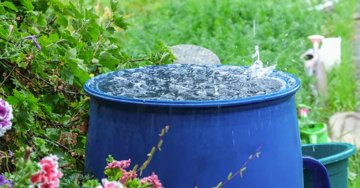 Let your children help you set up the rainwater harvesting system so they can be a part of the process; Picture source: Bootstrap Farmer