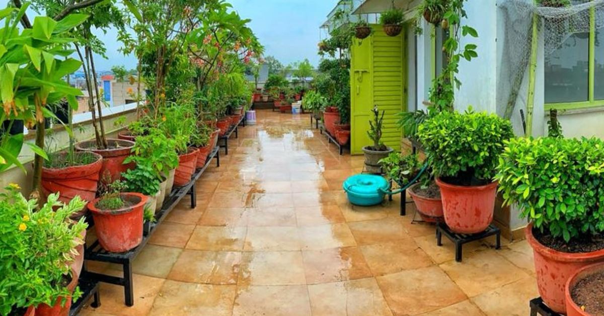 With the right preparation, you can enjoy healthy vegetables throughout the rainy season; Picture source: The Patriot