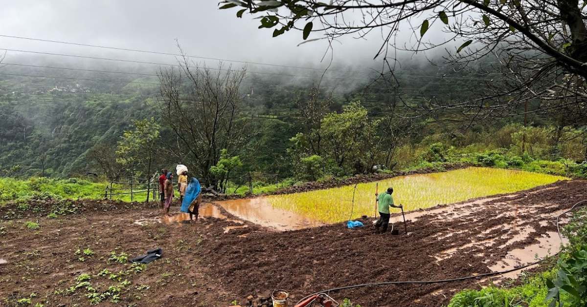 The process of permaculture helped to bring the barren land back to life 