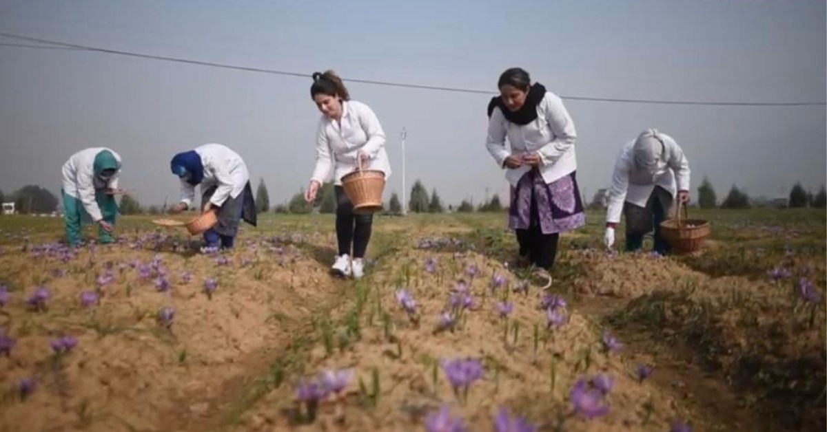 HERB HEAVEN has employed over 50 local artisans who handle the processing and packaging of their products