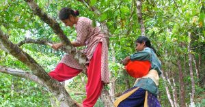 How Kerala Women Rescued a Dying Forest & Turned It Into a Safe Haven for 2000 Native Plants