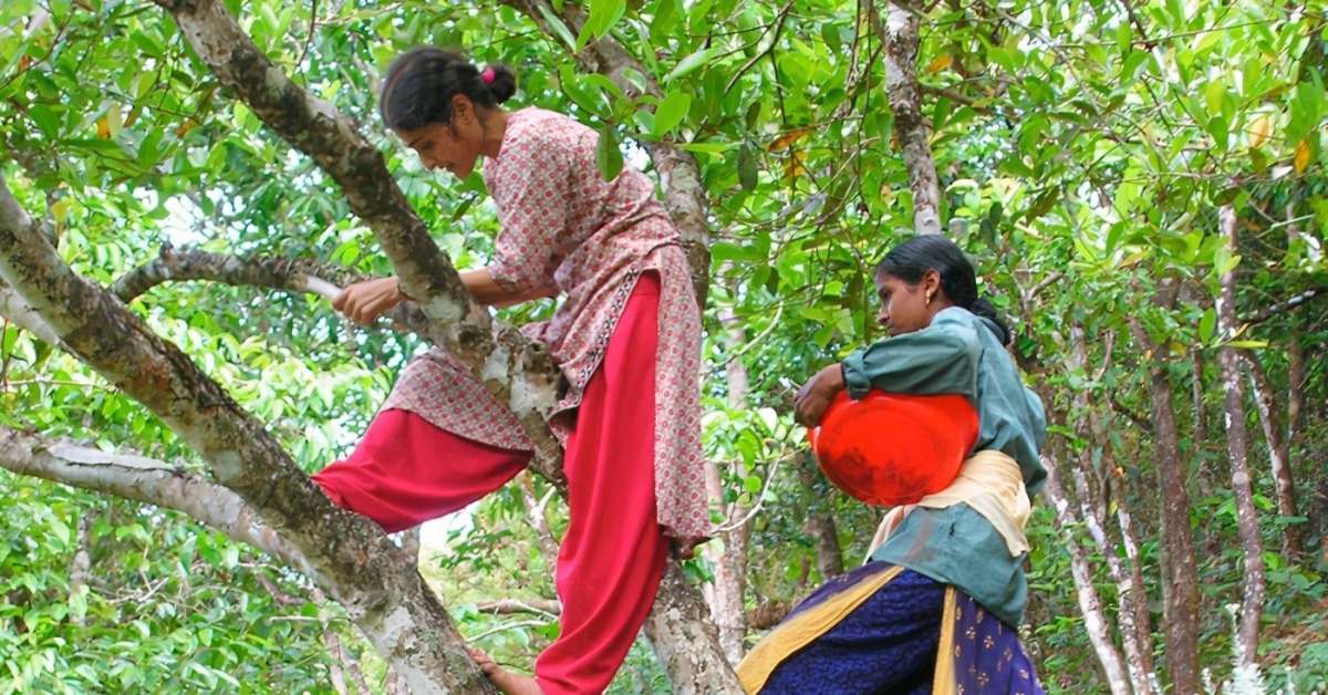 How Kerala Women Rescued a Dying Forest and Turned It Into a Safe Haven for...