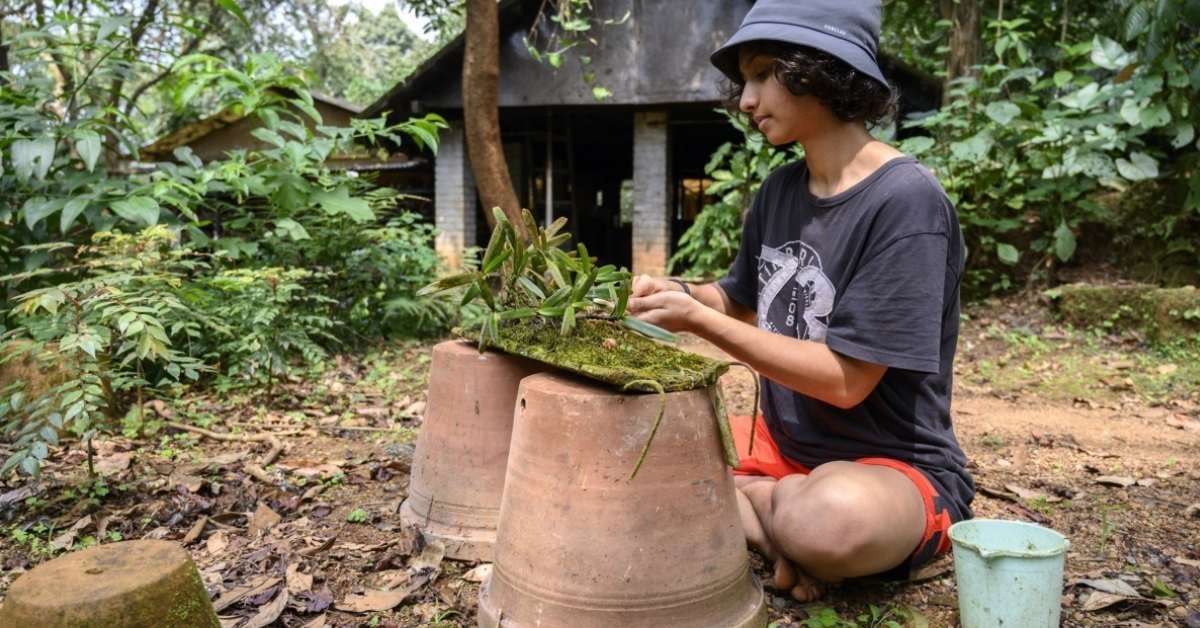 The team at Gurukula focuses on conserving what usually disappears first — the herbaceous plants, the creepers, tubers, mosses, and small-rooted species; Picture source: The Guardian