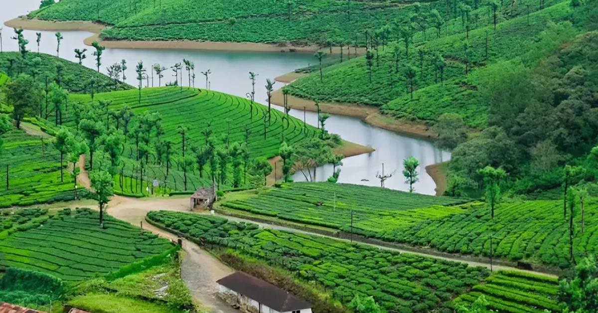 Valparai rises above the plains, cloaked in jungle, silence, and endless shades of green; Picture source: Go Kite Tours