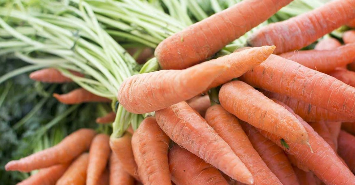Carrots require cool weather and well-drained and sandy loam soil to grow well; Picture source: Agriculture Guruji
