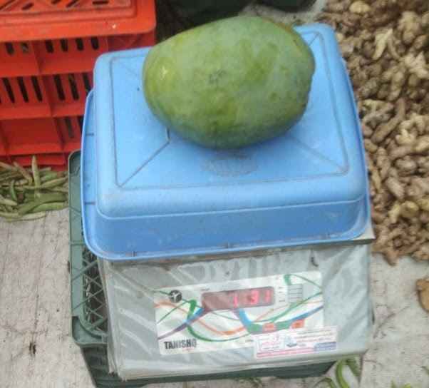 Cawasji Patel mango