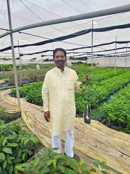 Golden Sitaphal farmer innovator