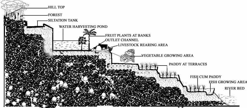 Zabo integrated farming. 