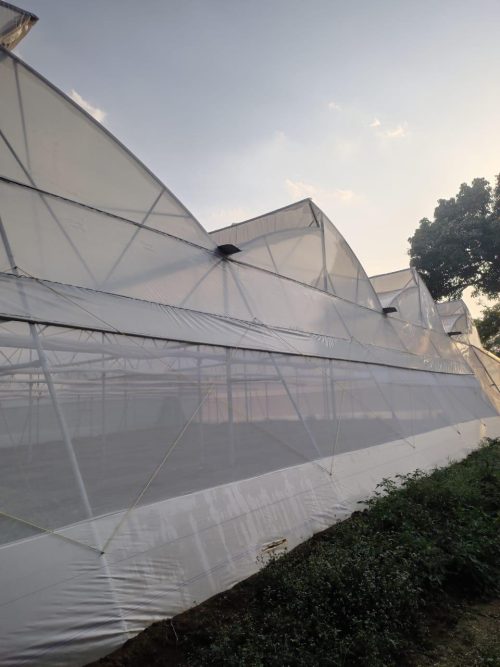 PM-KUSUM-linked solar pumps became a lifeline for Jharkhand farmers, reducing costs and saving energy.