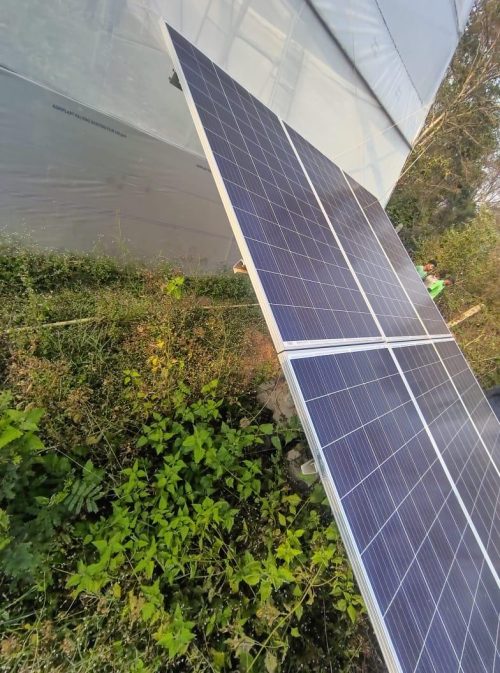 In Chatra alone, 300 farmers adopted solar irrigation under PM-KUSUM, cutting costs and boosting crop yields.