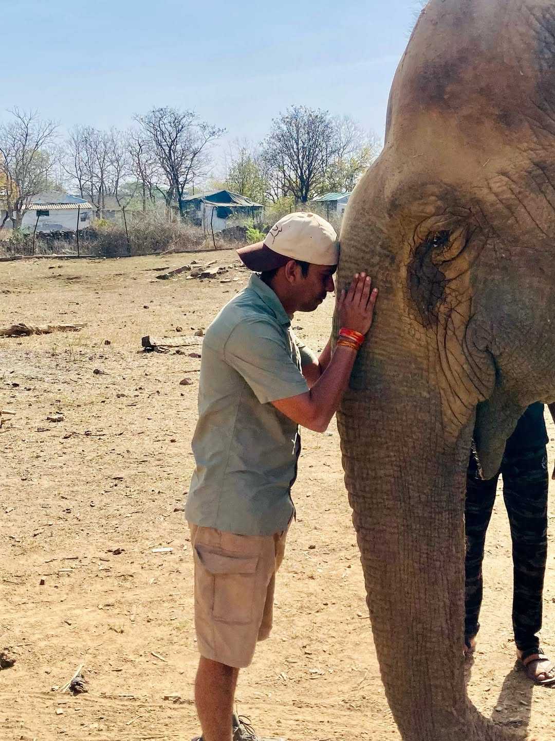 Vatsala, Asia's Oldest Elephant, Passes Away at Panna Tiger Reserve