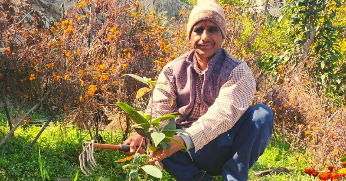60-YO Farmer Turns Barren Land into Lush Forest of 1 Lakh Trees in Uttarakhand