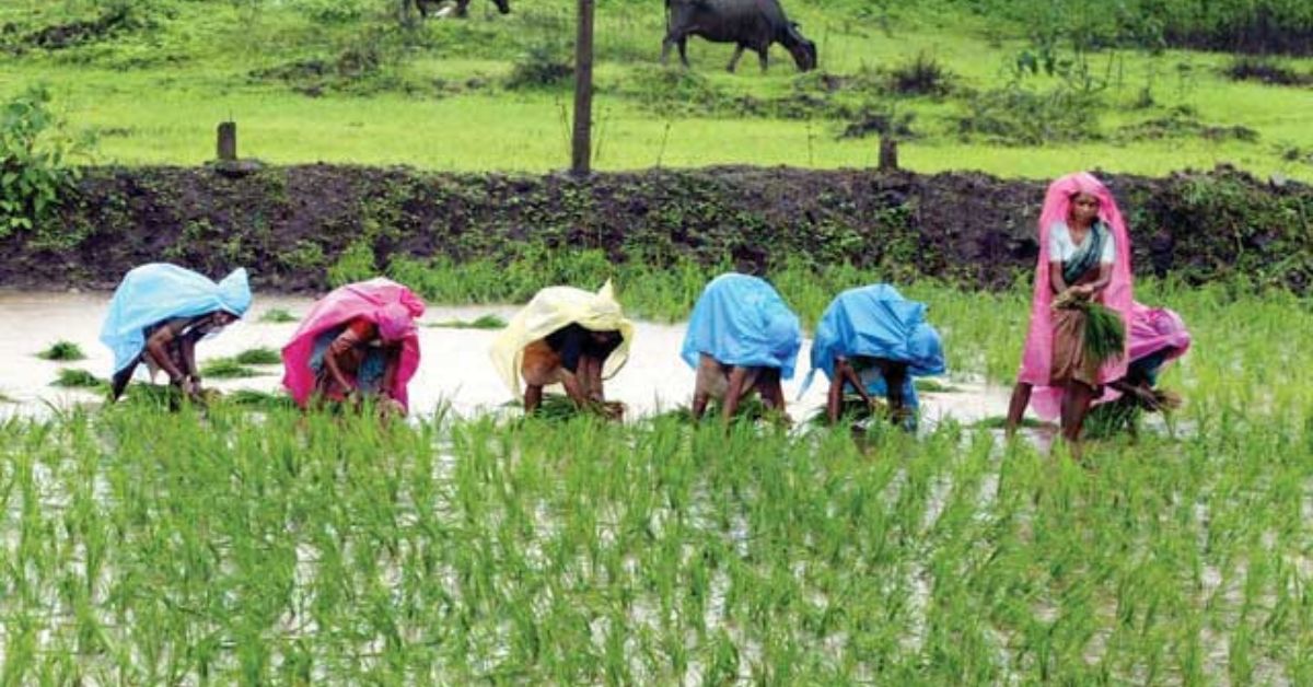 Local communities realised that instead of chasing water, they needed to trap and use what little rain they had more efficiently. 