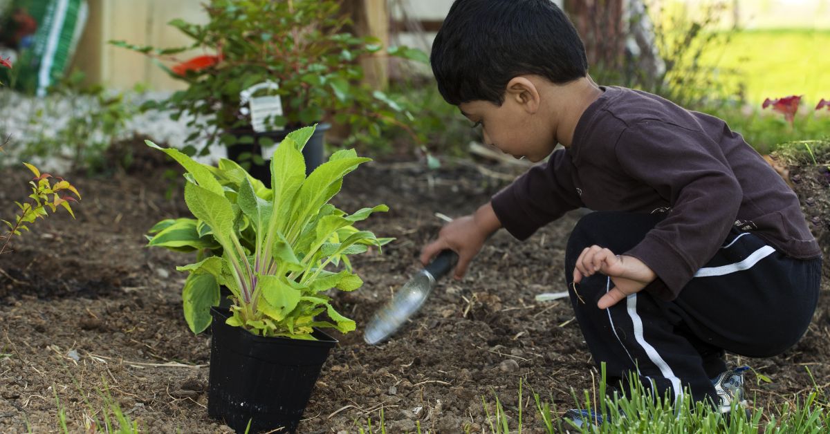 How Gardening Teaches Kids Kindness, Patience & Responsibility
