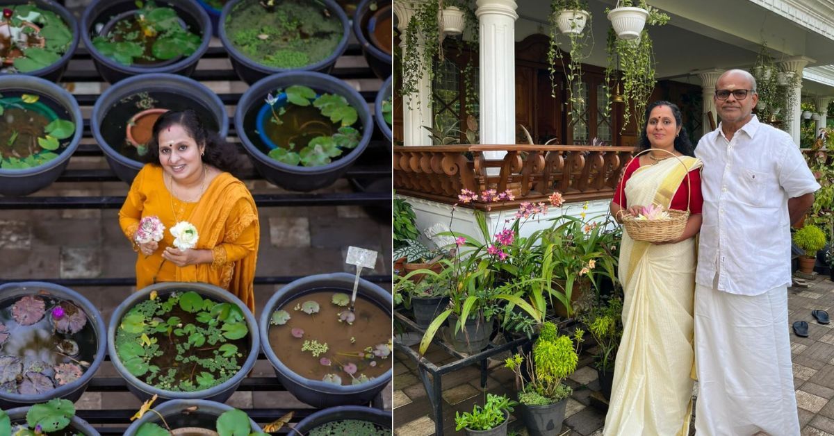 Besides her impressive collection of lotus and water lilies, she also grows orchids, begonias, aglaonemas, creepers, and other indoor plants