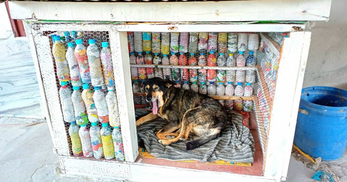 A dog house made with bottle bricks. 