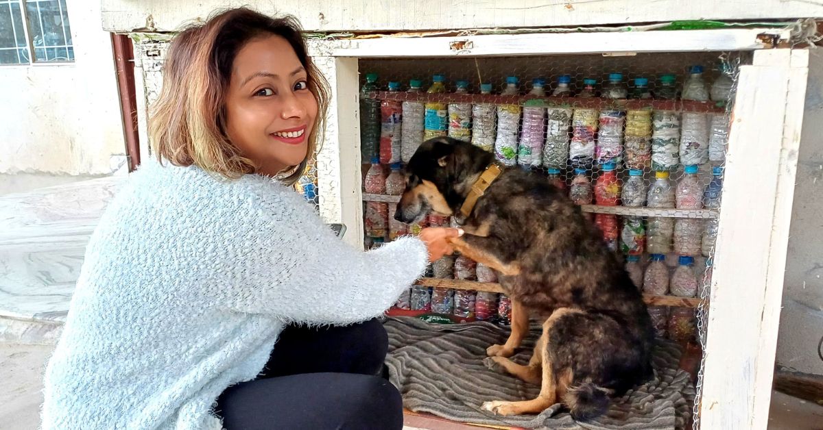 The dog house has received a lot of love from tourists as well.