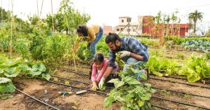 Farms Near Big Cities Are Becoming the New Weekend Escape for Curious Kids & Tired Parents