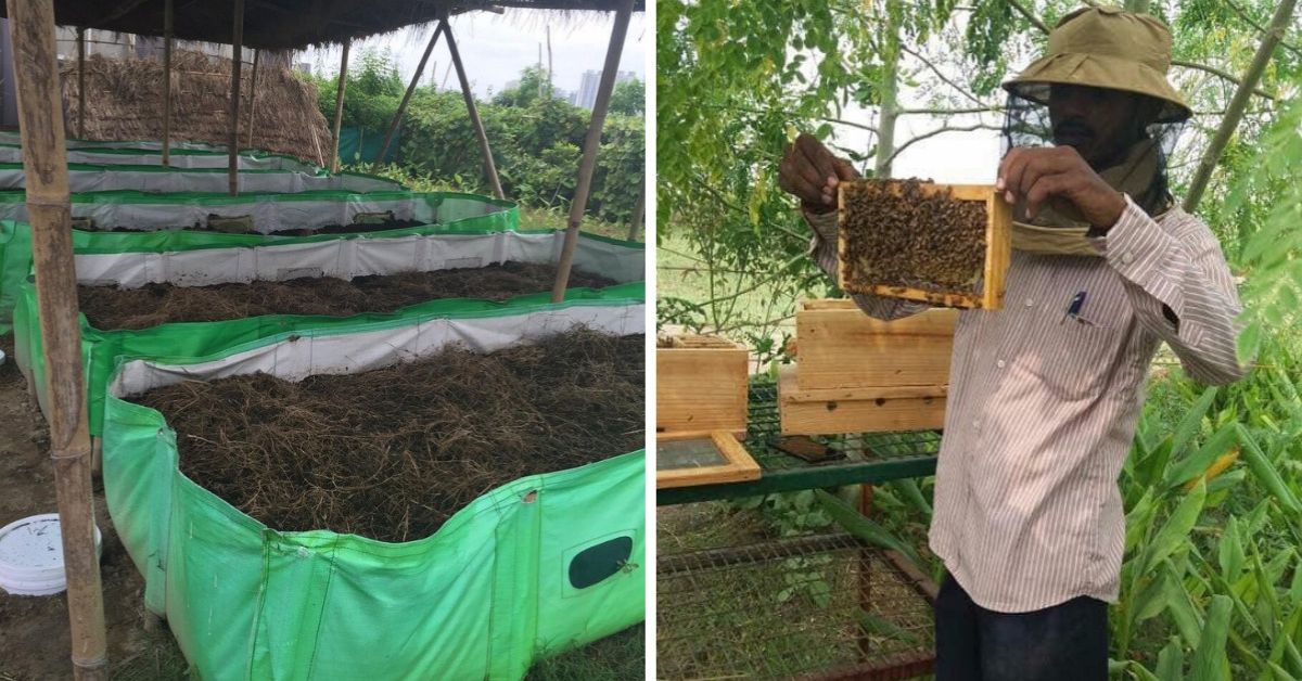 Compost pits and bee-farming in practice at Beejom Farms.