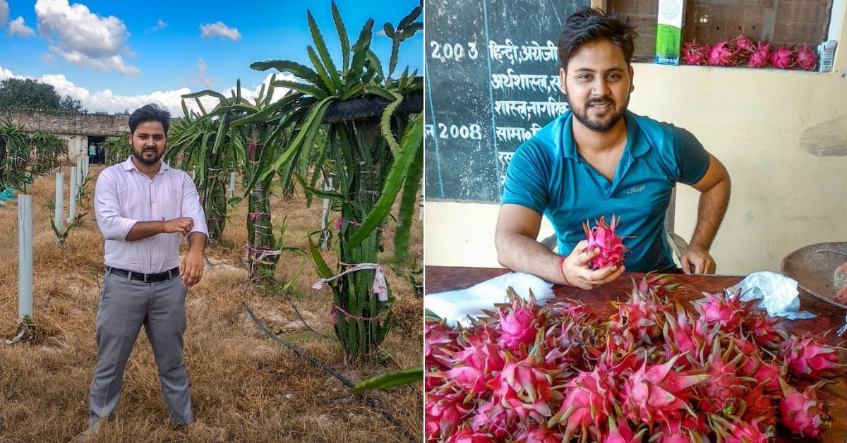 Anshul Mishra says dragon fruit farming provides long-term profitability