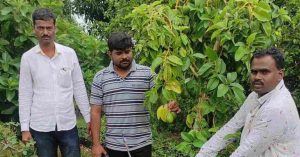 How This Farmer in Beed Beat Drought to Build a Rs 10 Lakh/Acre Avocado Farm